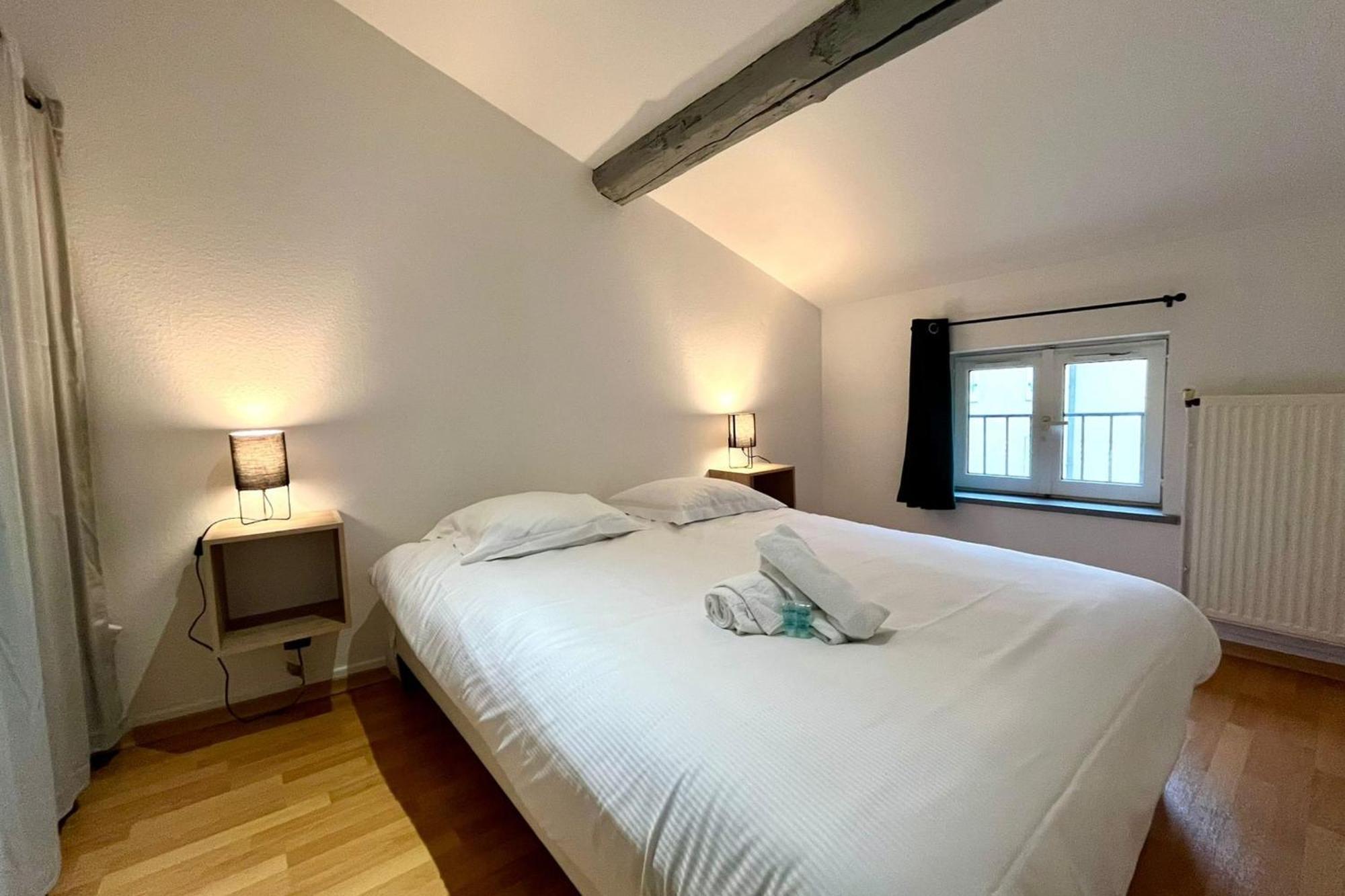 Ferienwohnung Le Duplex Des Dames Nancy Exterior foto